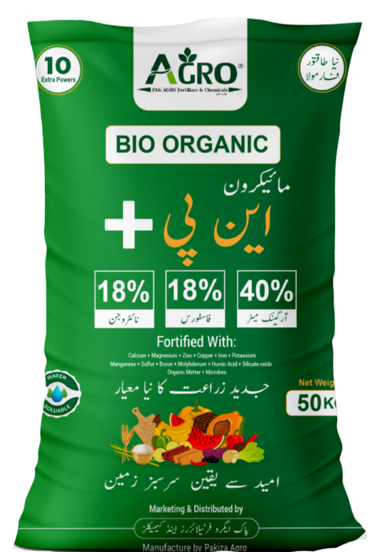Green bag with bg-01 (2)