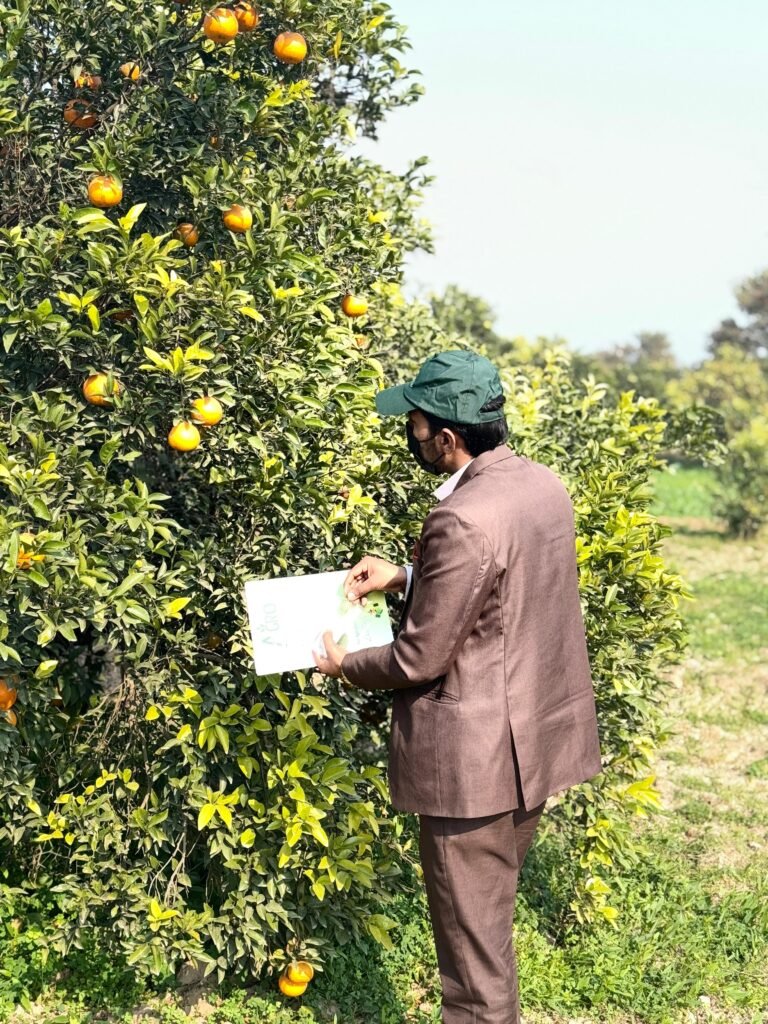 leaf sampling (2)
