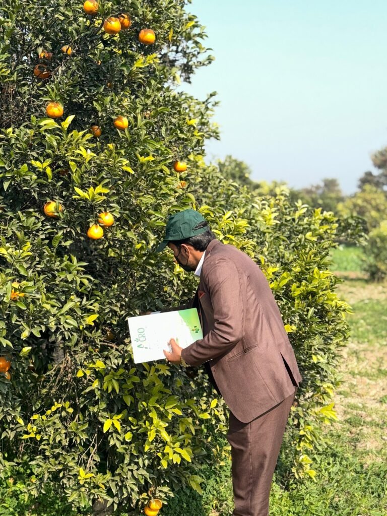 leaf sampling