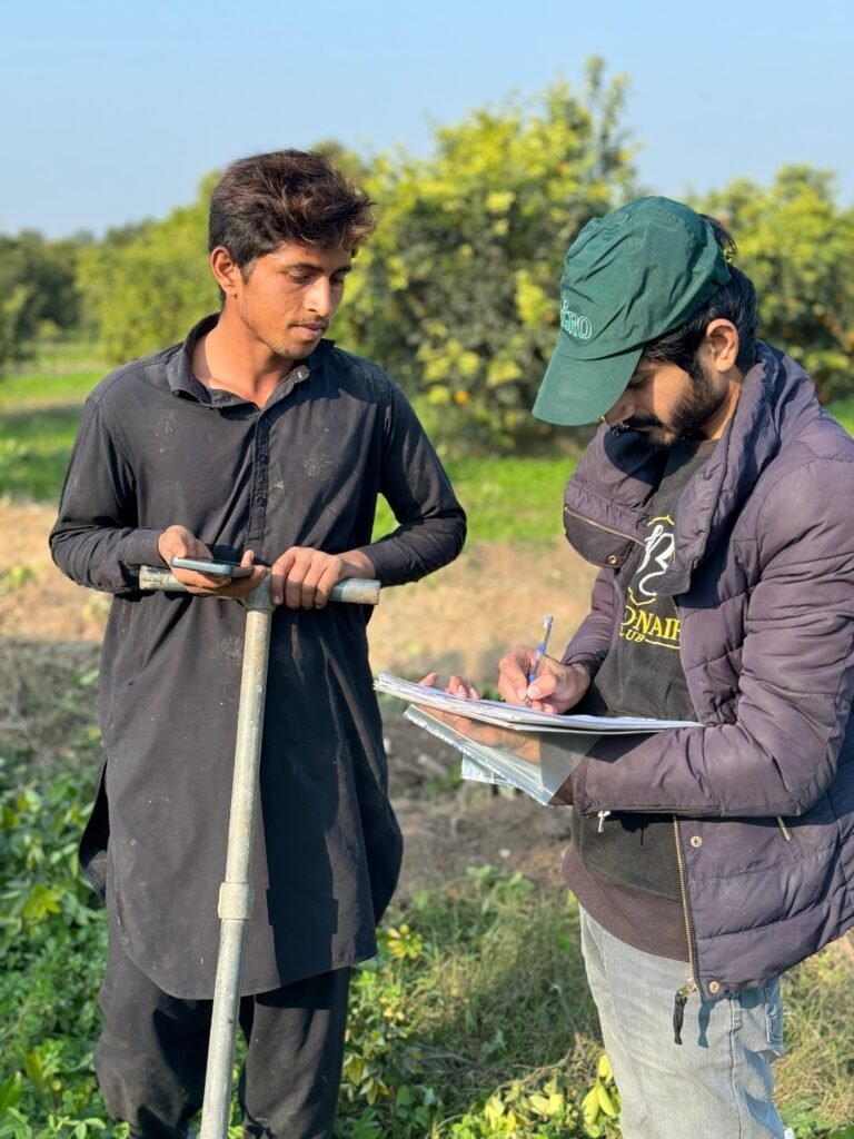 soil sampling