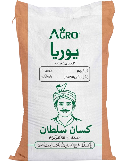 WhatsApp_Image_2025-12-19_at_12.47
