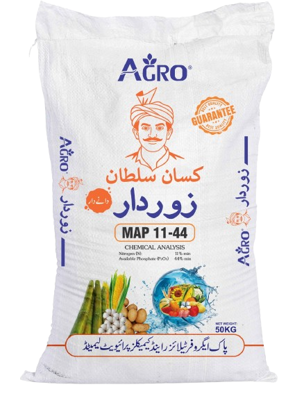 WhatsApp_Image_2025-12-19_at_12.48